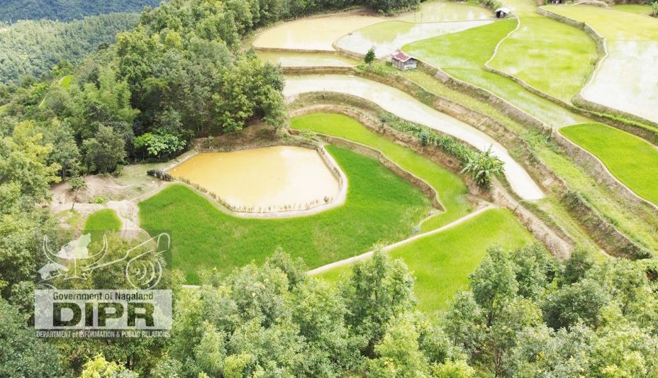 View of framing in Kikruma village. Zabo/Zab? farming system of Kikruma village was featured in the book ‘Innovations in Agricultural Extension’ (a joint publication of Michigan State University-Extension-USA & MANAGE, Hyderabad-India). (DIPR Photo)
